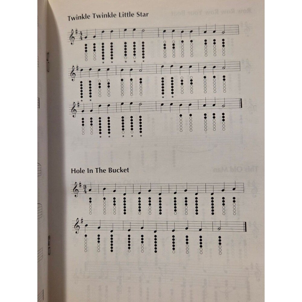 Lot Of 2 Irish Tin Whistle Music Books - Picture 13 of 14